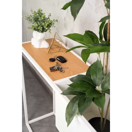 Konsola loftowa z donicą Verde 100×30 cm – Biała | nowoczesna konsola